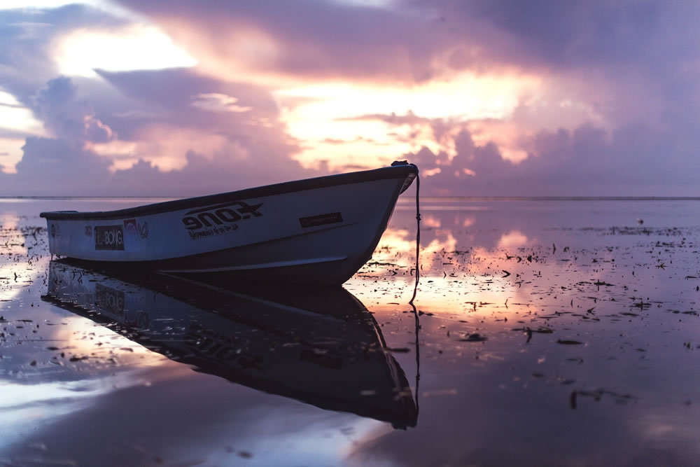 Boat Registrations